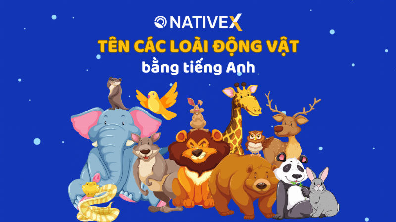 Hinh anh cac loai dong vat pho bien danh cho bai van ta con vat lop 4